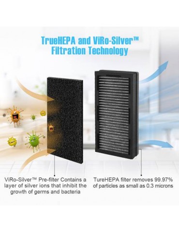 Air Purifier with Pre-Filter and True HEPA Home Air Cleaner with Timer For Allergies/Dust/Mold/Smokers/Wildfire Smoke/Odor
