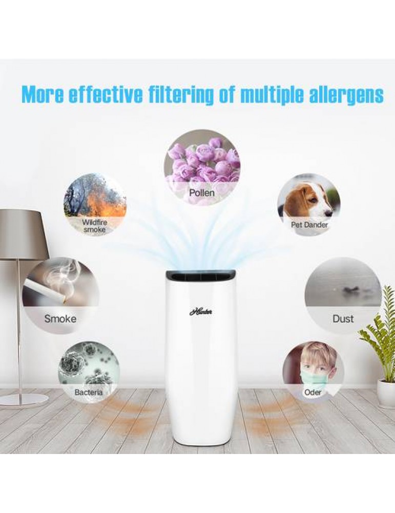 Air Purifier with Pre-Filter and True HEPA Home Air Cleaner with Timer For Allergies/Dust/Mold/Smokers/Wildfire Smoke/Odor